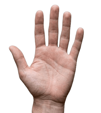 Left hand palmar
